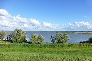 Ansicht am Oostvaardersdijk in Flevoland