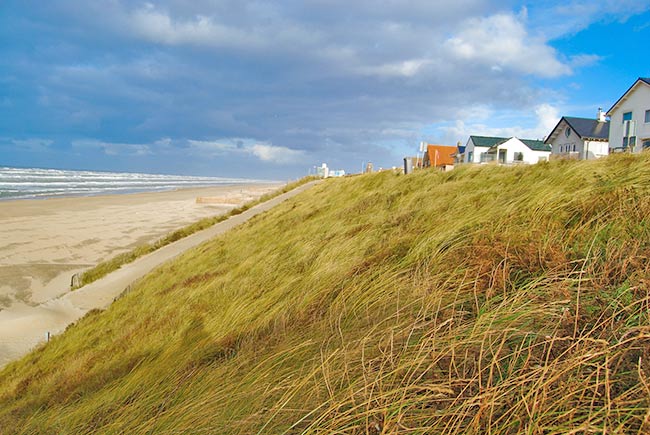 Ferienhäuser am Strand in Zandvoort