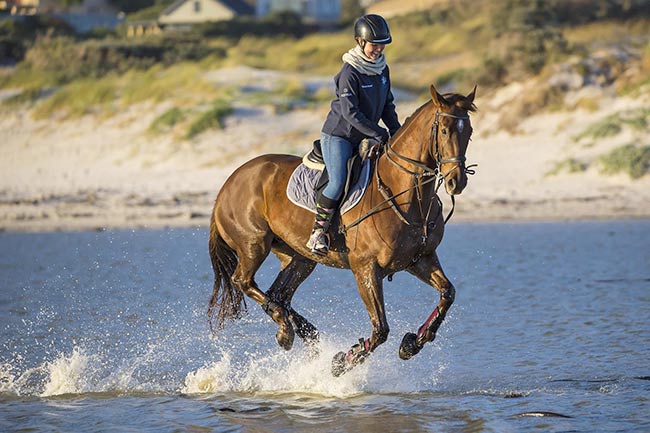 Reiten in Zandvoort 