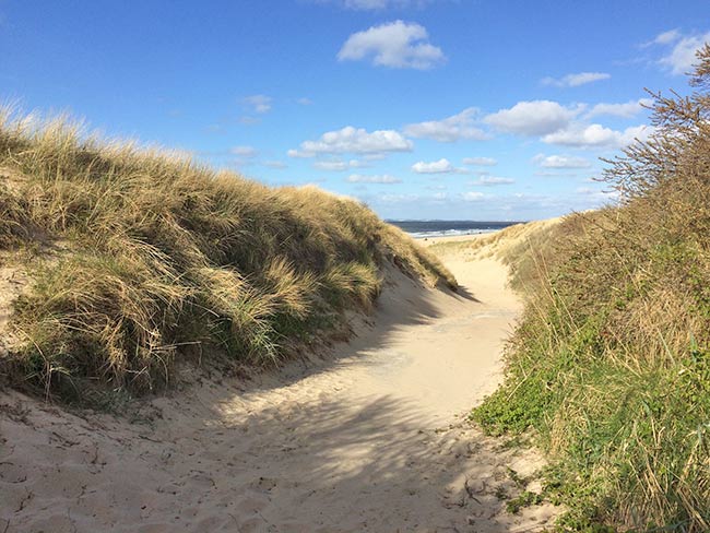 Badeurlaub in Zeeland